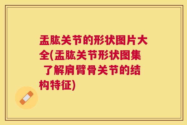 盂肱关节的形状图片大全(盂肱关节形状图集 了解肩臂骨关节的结构特征)