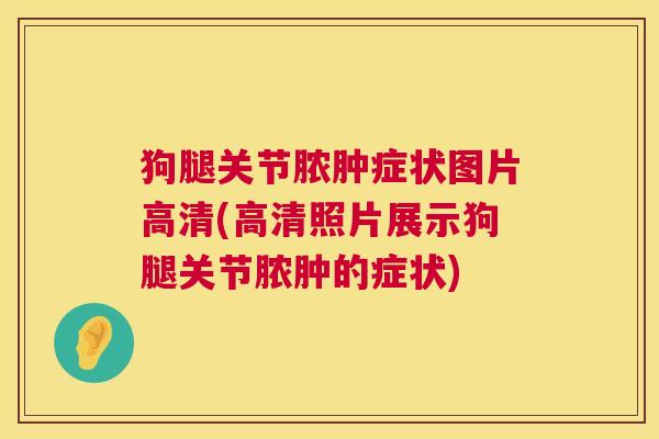 狗腿关节脓肿症状图片高清(高清照片展示狗腿关节脓肿的症状)