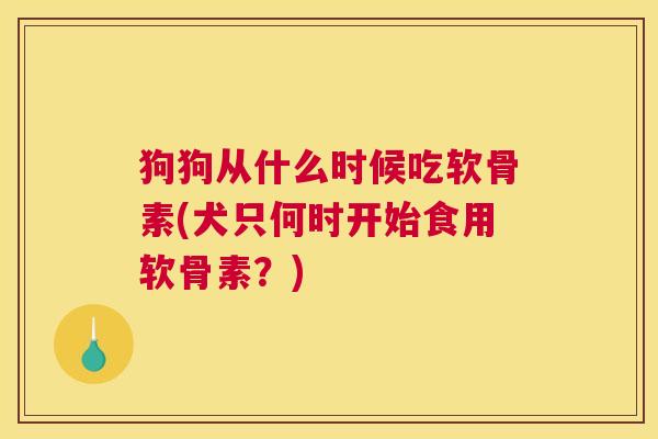 狗狗从什么时候吃软骨素(犬只何时开始食用软骨素？)