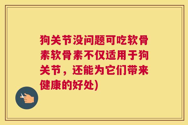 狗关节没问题可吃软骨素软骨素不仅适用于狗关节，还能为它们带来健康的好处)