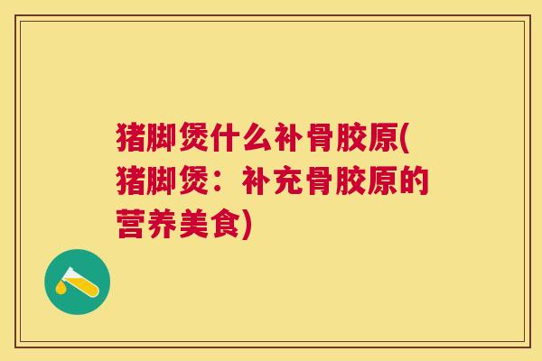 猪脚煲什么补骨胶原(猪脚煲：补充骨胶原的营养美食)