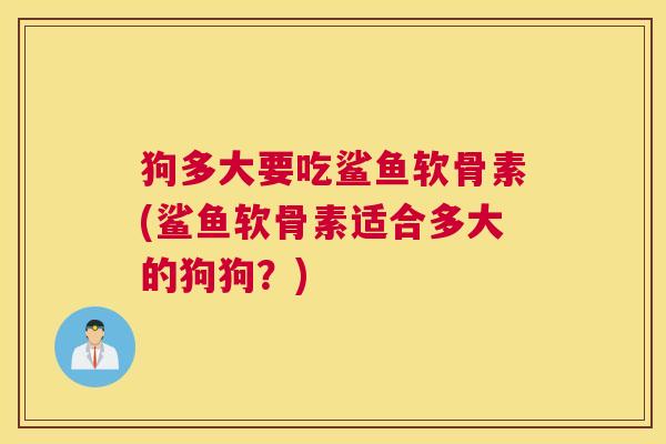 狗多大要吃鲨鱼软骨素(鲨鱼软骨素适合多大的狗狗？)