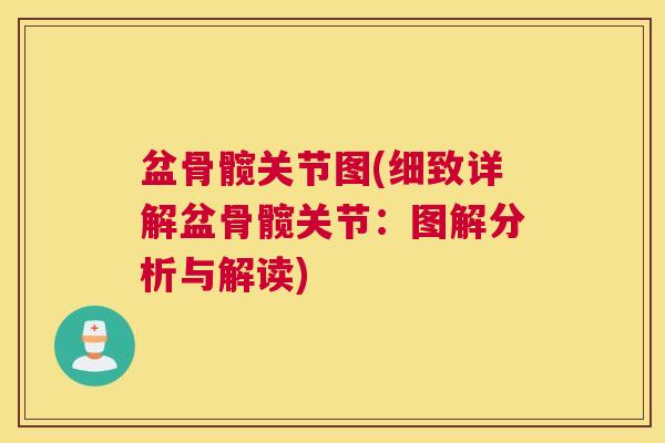 盆骨髋关节图(细致详解盆骨髋关节：图解分析与解读)