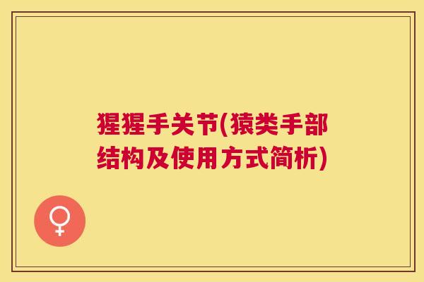 猩猩手关节(猿类手部结构及使用方式简析)