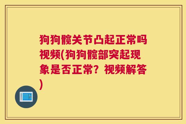 狗狗髋关节凸起正常吗视频(狗狗髋部突起现象是否正常？视频解答)