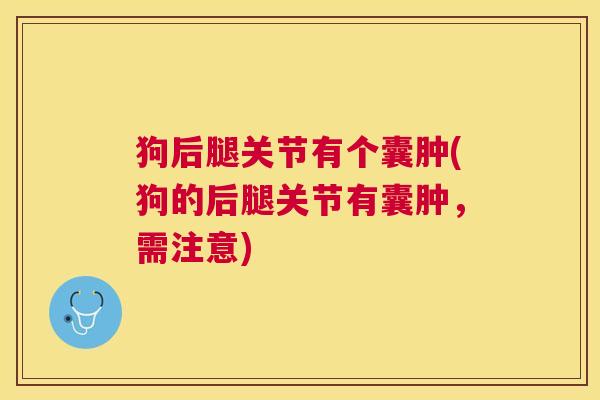 狗后腿关节有个囊肿(狗的后腿关节有囊肿，需注意)