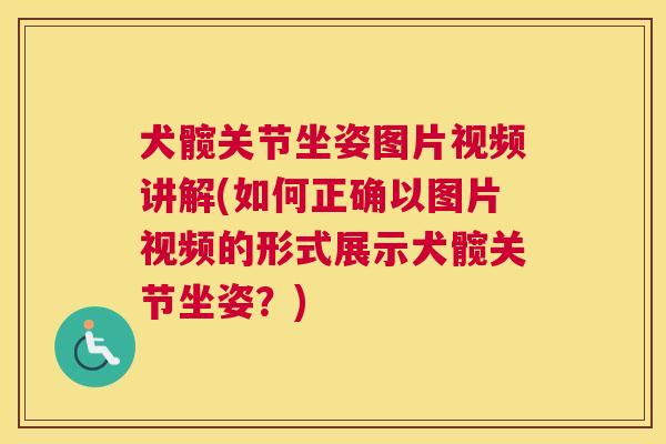 犬髋关节坐姿图片视频讲解(如何正确以图片视频的形式展示犬髋关节坐姿?) 犬髋关节坐姿图片视频讲解(如何正确以图片视频的形式展示犬髋关节坐姿?)