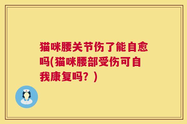 猫咪腰关节伤了能自愈吗(猫咪腰部受伤可自我康复吗？)