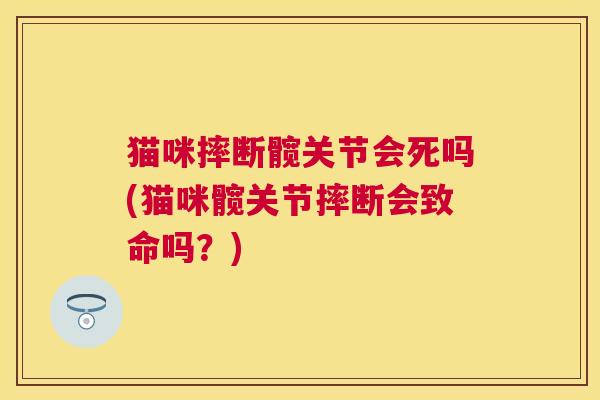 猫咪摔断髋关节会死吗(猫咪髋关节摔断会致命吗？)
