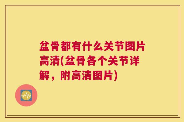 盆骨都有什么关节图片高清(盆骨各个关节详解，附高清图片)