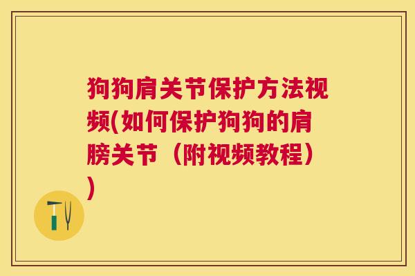 狗狗肩关节保护方法视频(如何保护狗狗的肩膀关节（附视频教程）)