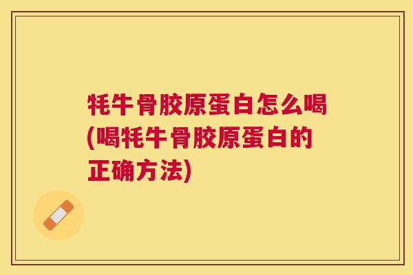 牦牛骨胶原蛋白怎么喝(喝牦牛骨胶原蛋白的正确方法)