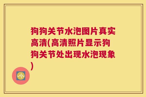 狗狗关节水泡图片真实高清(高清照片显示狗狗关节处出现水泡现象)