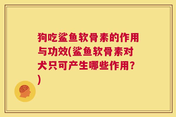 狗吃鲨鱼软骨素的作用与功效(鲨鱼软骨素对犬只可产生哪些作用？)