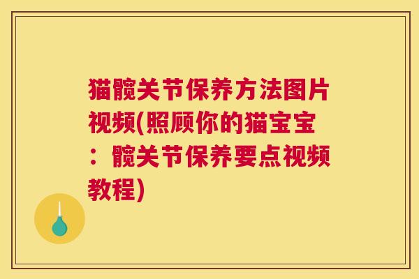 猫髋关节保养方法图片视频(照顾你的猫宝宝：髋关节保养要点视频教程)