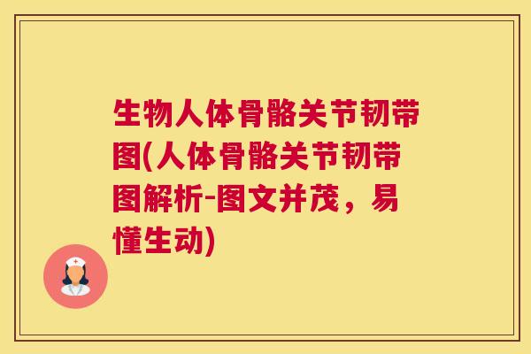生物人体骨骼关节韧带图(人体骨骼关节韧带图解析-图文并茂,易懂生动) 生物人体骨骼关节韧带图(人体骨骼关节韧带图解析-图文并茂,易懂生动)