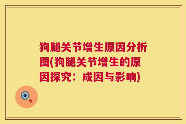 狗腿关节增生原因分析图(狗腿关节增生的原因探究：成因与影响)
