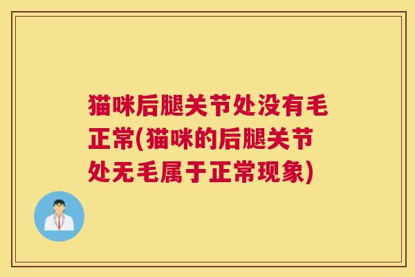 猫咪后腿关节处没有毛正常(猫咪的后腿关节处无毛属于正常现象)