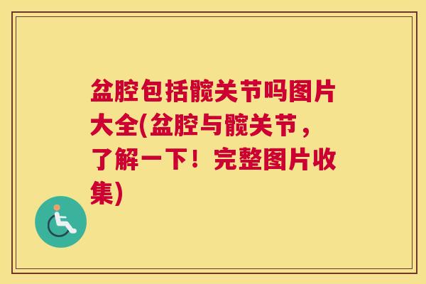 盆腔包括髋关节吗图片大全(盆腔与髋关节,了解一下!完整图片收集)