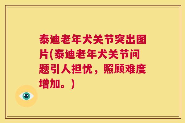 泰迪老年犬关节突出图片(泰迪老年犬关节问题引人担忧，照顾难度增加。)