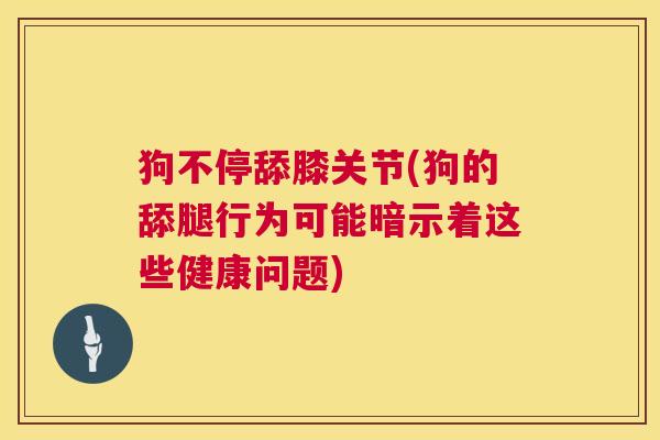 狗不停舔膝关节(狗的舔腿行为可能暗示着这些健康问题)