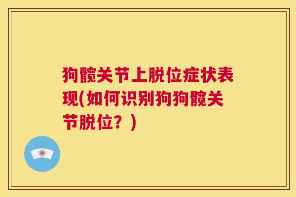 狗髋关节上脱位症状表现(如何识别狗狗髋关节脱位?) 狗髋关节上脱位症状表现(如何识别狗狗髋关节脱位?)