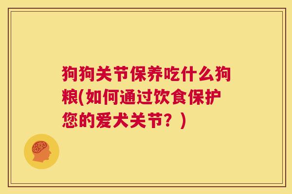 狗狗关节保养吃什么狗粮(如何通过饮食保护您的爱犬关节？)