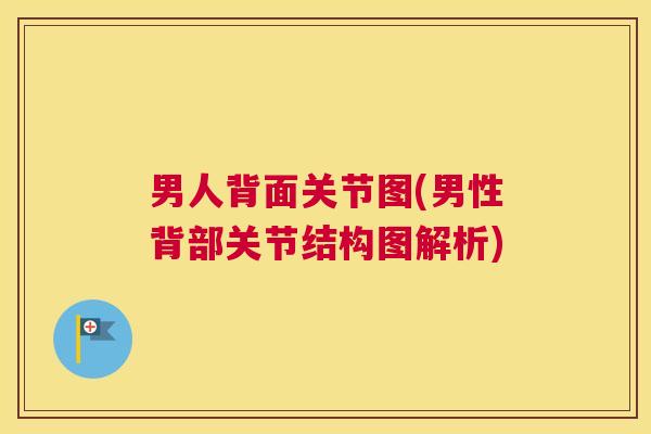 男人背面关节图(男性背部关节结构图解析)