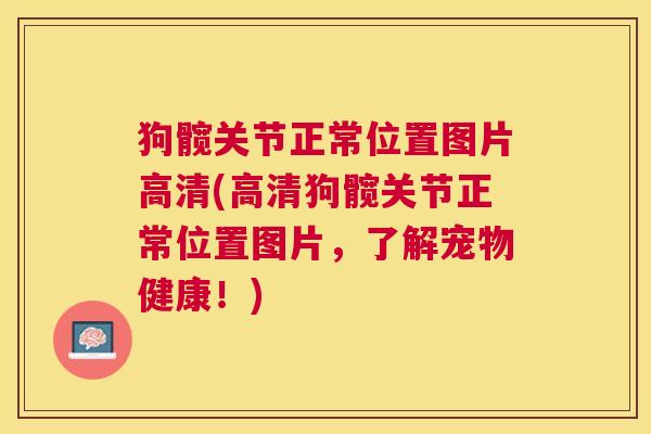 狗髋关节正常位置图片高清(高清狗髋关节正常位置图片，了解宠物健康！)