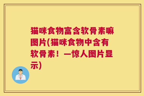 猫咪食物富含软骨素嘛图片(猫咪食物中含有软骨素！—惊人图片显示)