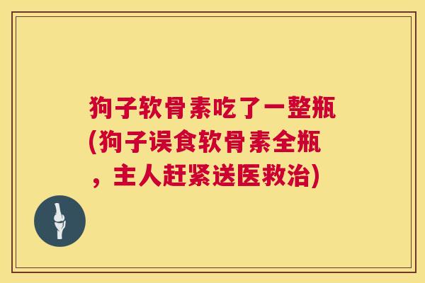 狗子软骨素吃了一整瓶(狗子误食软骨素全瓶，主人赶紧送医救治)