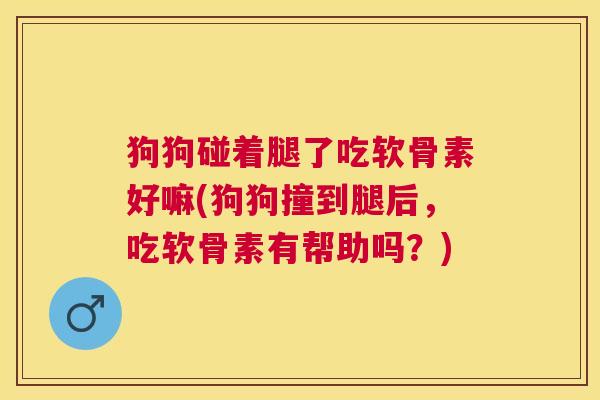 狗狗碰着腿了吃软骨素好嘛(狗狗撞到腿后，吃软骨素有帮助吗？)