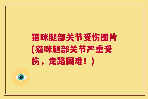 猫咪腿部关节受伤图片(猫咪腿部关节严重受伤,走路困难!) 猫咪腿部关节受伤图片(猫咪腿部关节严重受伤,走路困难!)