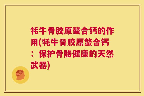 牦牛骨胶原螯合钙的作用(牦牛骨胶原螯合钙：保护骨骼健康的天然武器)