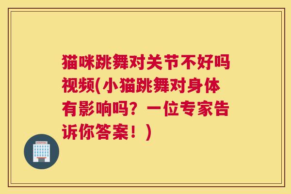 猫咪跳舞对关节不好吗视频(小猫跳舞对身体有影响吗？一位专家告诉你答案！)