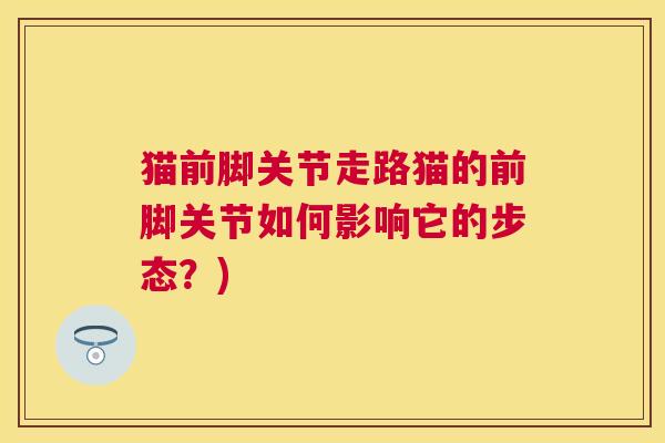 猫前脚关节走路猫的前脚关节如何影响它的步态？)
