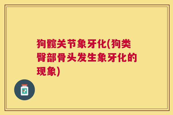 狗髋关节象牙化(狗类臀部骨头发生象牙化的现象)