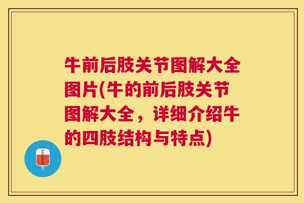 牛前后肢关节图解大全图片(牛的前后肢关节图解大全，详细介绍牛的四肢结构与特点)