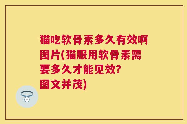 猫吃软骨素多久有效啊图片(猫服用软骨素需要多久才能见效？  图文并茂)