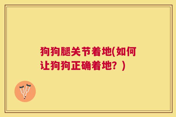 狗狗腿关节着地(如何让狗狗正确着地？)