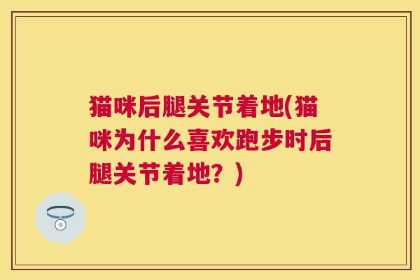 猫咪后腿关节着地(猫咪为什么喜欢跑步时后腿关节着地？)