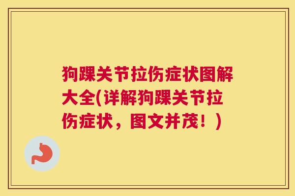 狗踝关节拉伤症状图解大全(详解狗踝关节拉伤症状，图文并茂！)