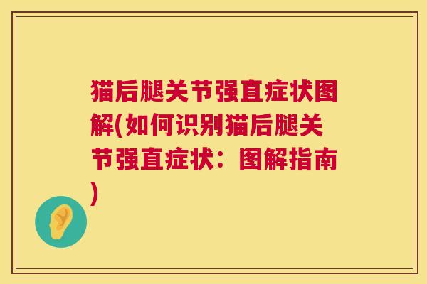 猫后腿关节强直症状图解(如何识别猫后腿关节强直症状：图解指南)