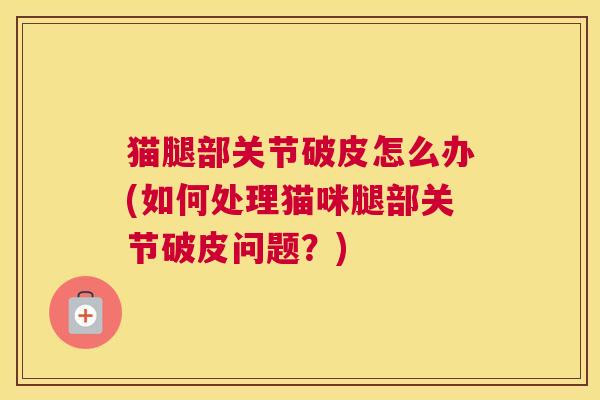 猫腿部关节破皮怎么办(如何处理猫咪腿部关节破皮问题？)
