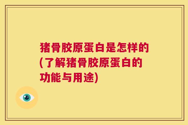 猪骨胶原蛋白是怎样的(了解猪骨胶原蛋白的功能与用途)