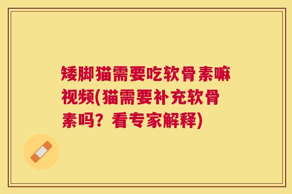 矮脚猫需要吃软骨素嘛视频(猫需要补充软骨素吗？看专家解释)