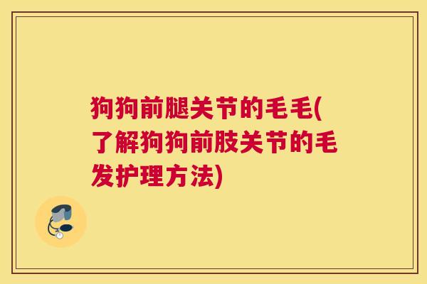 狗狗前腿关节的毛毛(了解狗狗前肢关节的毛发护理方法)