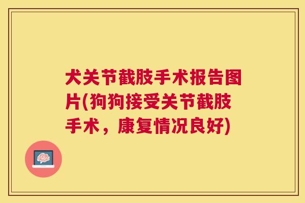 犬关节截肢手术报告图片(狗狗接受关节截肢手术，康复情况良好)