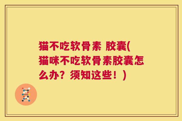 猫不吃软骨素 胶囊(猫咪不吃软骨素胶囊怎么办？须知这些！)