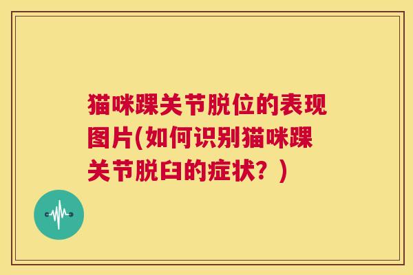 猫咪踝关节脱位的表现图片(如何识别猫咪踝关节脱臼的症状？)